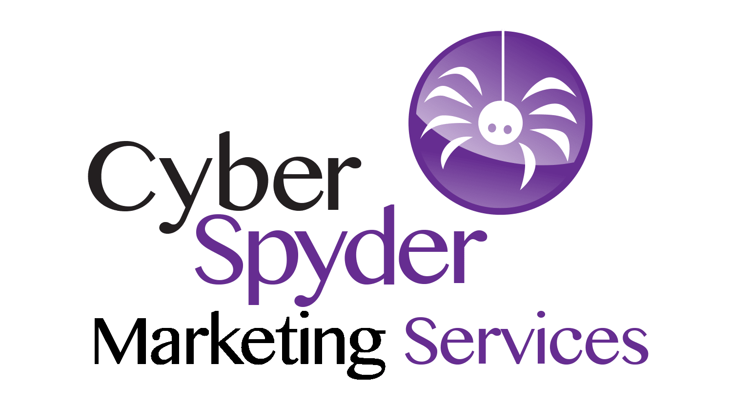 CyberSpyder Marketing Services